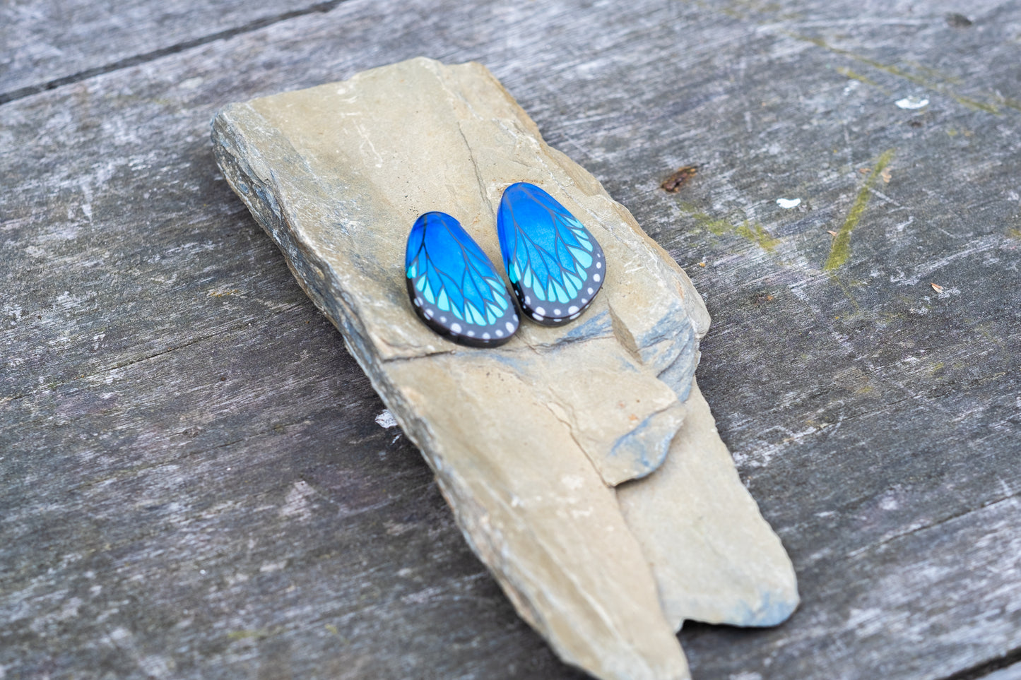 Mini Morpho Butterfly Wing Earrings