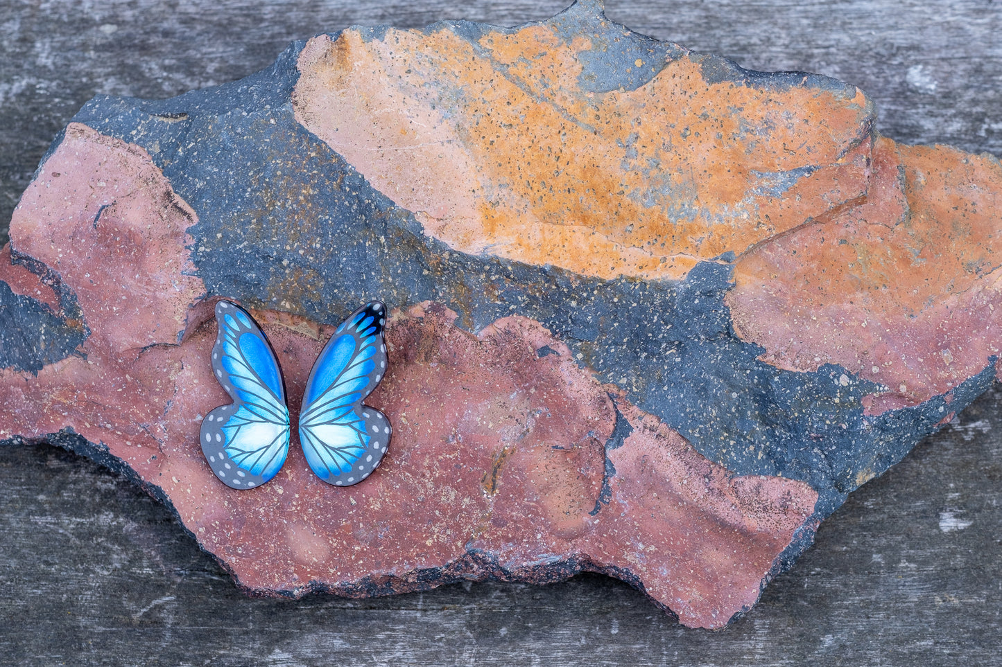 Pointed Half Butterfly M Blue Morpho