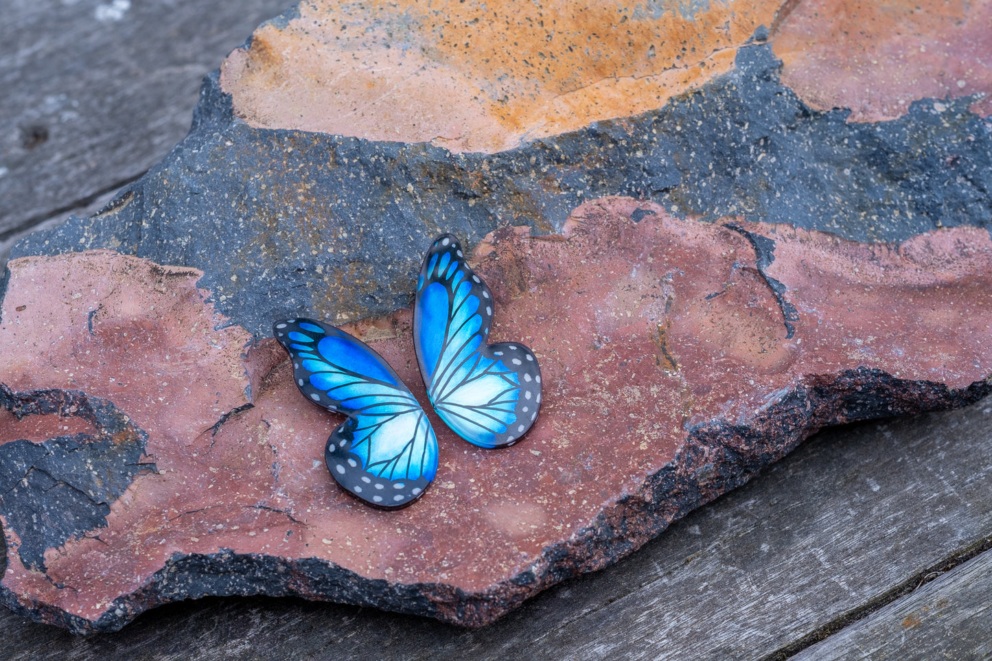 Pointed Half Butterfly M Blue Morpho