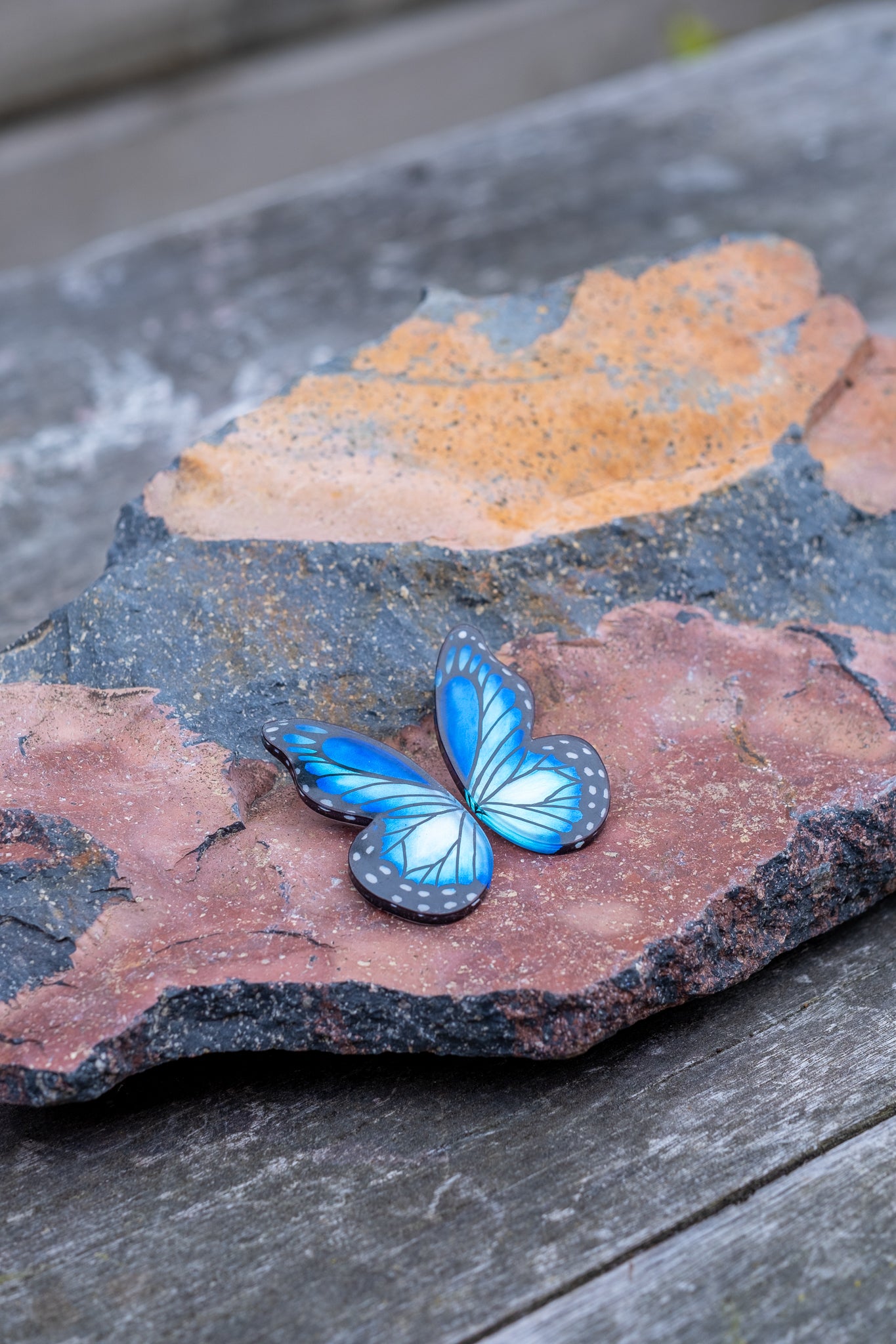 Pointed Half Butterfly M Blue Morpho