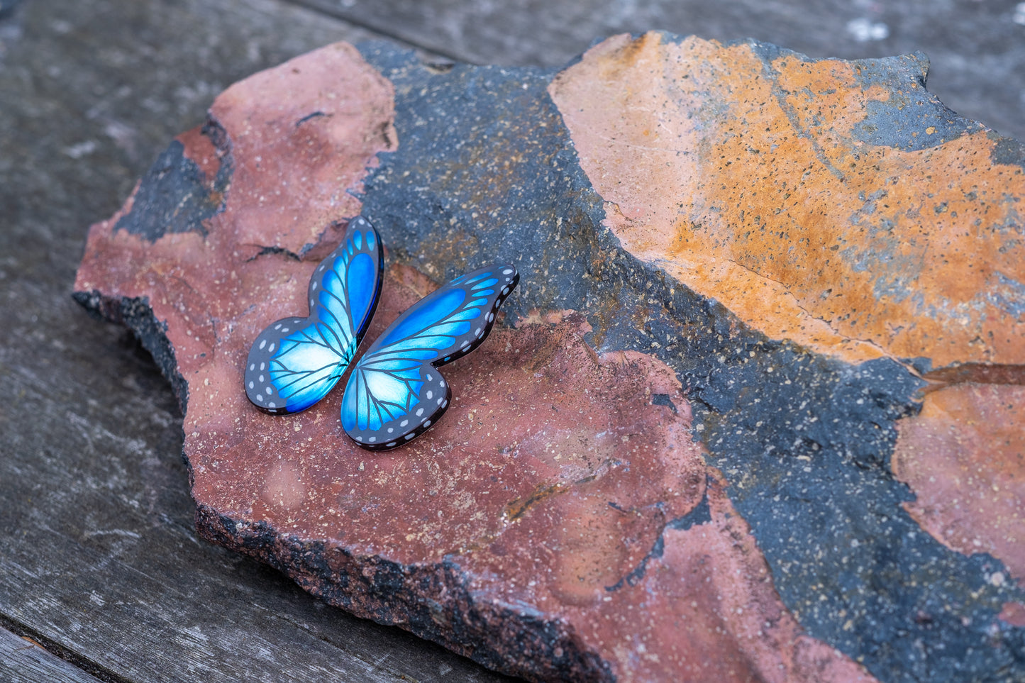 Pointed Half Butterfly M Blue Morpho