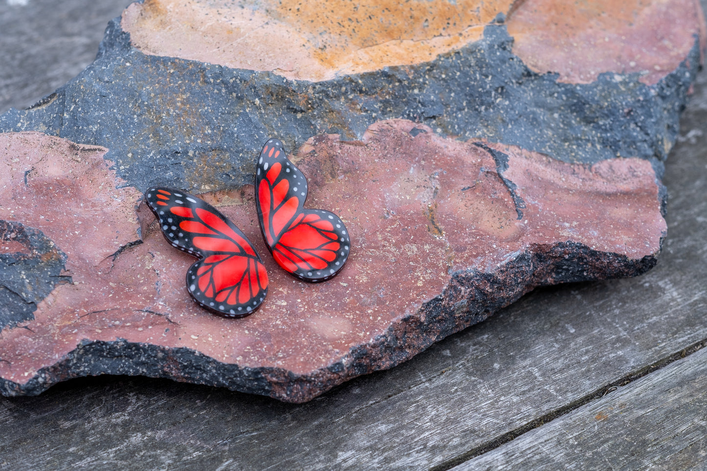 Pointed Half Butterfly M Monarch