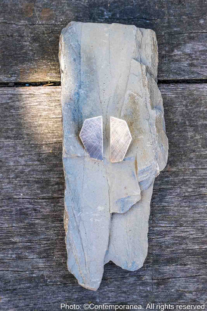Penta Basic PentaHexa - Silver earrings