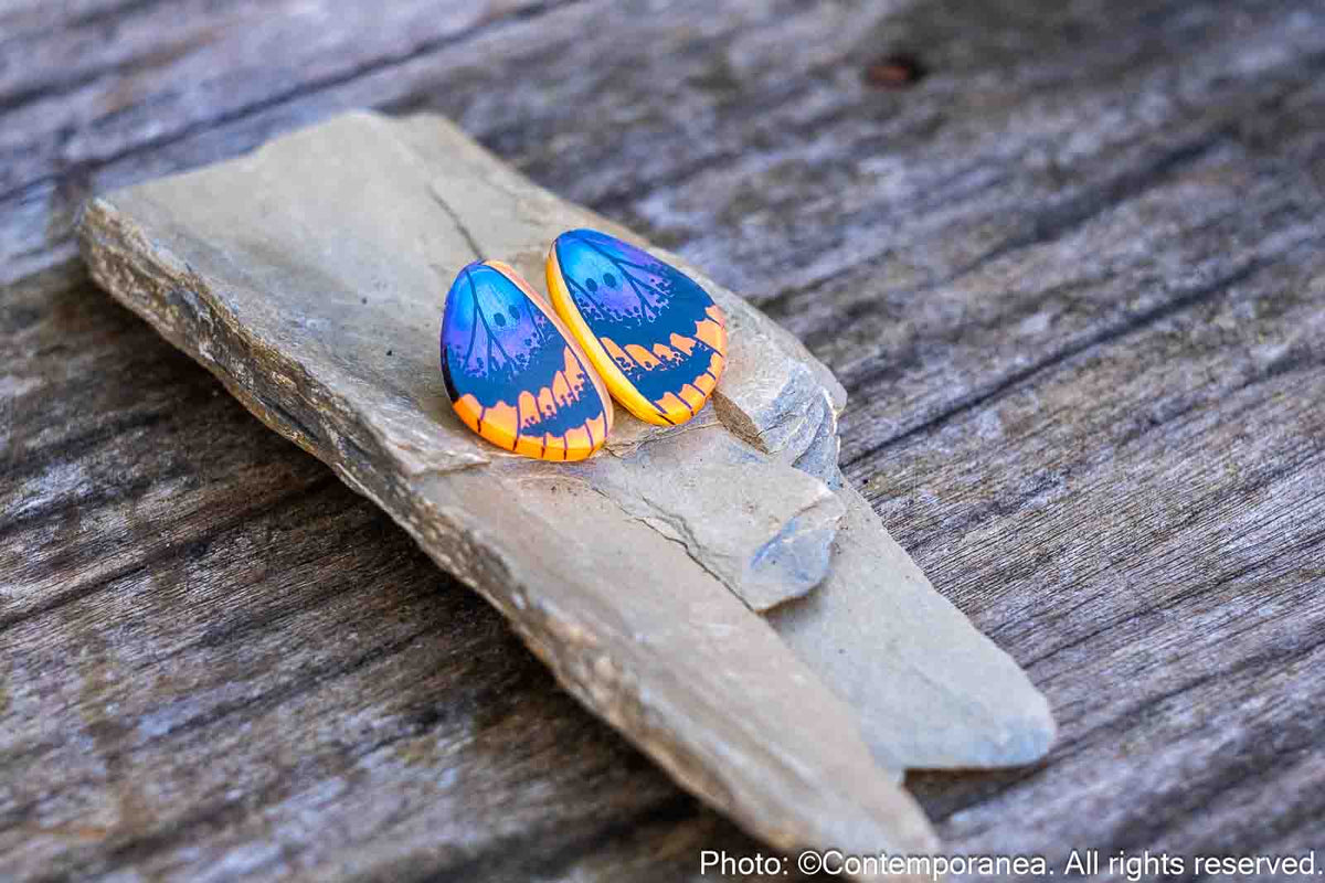 Mini Euphedra Butterfly Wing Earrings