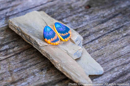 Mini Euphedra Butterfly Wing Earrings
