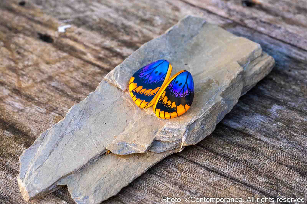 Mini Euphedra Butterfly Wing Earrings