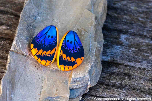 Mini Euphedra Butterfly Wing Earrings