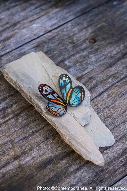 Pointed Half Butterfly M Translucent Cyan Hyala