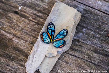 Pointed Half Butterfly M Translucent Cyan Hyala