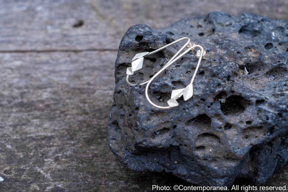 Parts of my Nature collection, Hoops